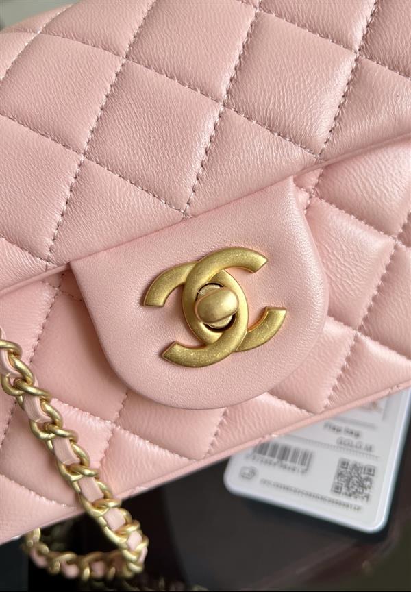 2026127205653608 530